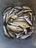 川澤無(wú)結快鎖線(xiàn)組成品主線(xiàn)組套裝日本進(jìn)口魚(yú)線(xiàn)主線(xiàn)強拉力綁好競技線(xiàn)組 3.6m【4卷裝】+收納盒剪刀 1.2號 曬單實(shí)拍圖