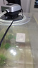 biOrb英國魚缸增氧氣泵12v節(jié)能充氧泵 低壓安全迷你氣泵 氣泵 曬單實拍圖