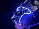 適用煥新版特斯拉ModelY/3/X/S車載無(wú)線游戲手柄藍(lán)牙Switch配件丫 【藍(lán)牙版】游戲手柄(單個(gè))透明殼 曬單實(shí)拍圖