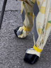 E7 生活小狗雨衣服四腳防水全包比熊小型犬寵物雨天遛狗防臟神器12-16斤 雨衣（包腳-包尾-可牽引）XL 曬單實拍圖