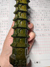 仙松品綠檀木雕刻文昌塔擺件實(shí)木質(zhì)九層文昌塔十三層七層裝飾工藝品 綠檀木文昌塔【7層】上保護(hù)漆 高10厘米 曬單實(shí)拍圖