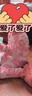 Classic Teddy兒童睡衣女童秋衣秋褲中小童衣服寶寶內(nèi)衣套純棉2件裝 花粉 110  曬單實(shí)拍圖