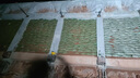 加密植生袋網(wǎng)袋河道公路邊坡護坡雙層植生袋草籽格構框架梁植生袋 植生袋【1000條】40*60cm 曬單實(shí)拍圖