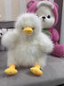 蟻恩墩墩鴨子玩偶公仔可愛(ài)炸毛毛絨玩具小鴨抱枕布娃娃送女孩生日禮物 炸毛墩墩鴨白 40厘米 曬單實(shí)拍圖