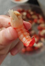 尚致麻辣龍蝦尾加熱即食蒜蓉小龍蝦尾熟食蝦球鮮活制作龍蝦尾半成品 蒜蓉龍蝦尾250g*2盒 曬單實拍圖