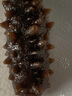 漁游記（YUYOUJI） 深海底播 大連即食海參禮盒1000g 20-30頭固形物≥50%遼刺參  曬單實(shí)拍圖