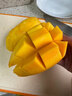 京興果正宗海南金煌芒芒果水仙芒當季新鮮特大芒果果核薄香甜新鮮水果 8斤禮盒裝 曬單實(shí)拍圖