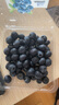 密農人家密云本地新鮮藍莓 酸甜可口 無(wú)膨大劑自然熟孕婦時(shí)令水果125gx4盒 小果(果徑約15mm-18mm) 125g*4盒 曬單實(shí)拍圖