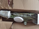 嘆為觀止 大綠植幸福樹金鉆巴西鐵盆景綠植盆栽辦公室室內(nèi)大型綠植 虎皮蘭80厘米-100厘米 含盆 曬單實拍圖