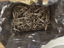 茶函茉莉花茶毛尖黃金芽濃香型2025新茶茶葉大白毫250g橫縣金針王 曬單實(shí)拍圖