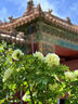 奧匹替OPTI點(diǎn)鈔蠟銀行練習(xí)數(shù)鈔 潤(rùn)指蠟 鈔蠟油濕手器銀行專用學(xué)生比賽點(diǎn)鈔數(shù)錢潤(rùn)指蠟會(huì)計(jì)點(diǎn)鈔甘油濕手 【1個(gè)裝】5g 小號(hào)（實(shí)物約合成人大拇指大?。?曬單實(shí)拍圖