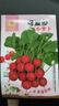 鳳鳴雅世櫻桃蘿卜種子四季陽(yáng)臺盆栽蔬菜種籽可愛(ài)多小蘿卜種子10克 曬單實(shí)拍圖