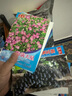 正品爽口檸檬種子清香鮮嫩水果青檸檬籽陽(yáng)臺盆栽蔬菜水果種子 爽口檸檬種子/包約10粒 1包 曬單實(shí)拍圖