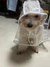 曇蓓漫狗狗雨衣中小型犬雨披柴犬柯基泰迪雨衣寵物用品可栓繩下雨天遛狗 【斗篷式狗狗雨衣-透明白邊】 2XL 丨建議21-27斤 EVA材質(zhì)/健康防水/透氣舒適 曬單實(shí)拍圖