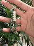 薇施妮（WEISHINI）水草石頭手機鏈中國風女精致簡約短款水晶手機繩手腕掛件掛飾 簡約短款水晶手機繩 A25-210 曬單實拍圖