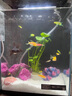 異景園小米二代魚(yú)缸造景裝飾擺件溪流缸南美風(fēng)卡通珊瑚造景石全套 套景A07 無(wú)規格 曬單實(shí)拍圖