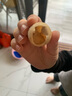 烏龜?shù)翱煞趸馓林腥A草龜?shù)皩櫸锏靶W(xué)生孵化烏龜活物龜龜受精蛋 4顆蛋（孵化盒+蛭石+噴壺 +糧） 中華草龜?shù)?曬單實拍圖