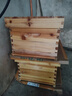 蜜蜂箱全套中蜂煮蠟標準土蜂杉木蜂箱浸蠟意蜂養蜂工具批發(fā) 活底-煮蠟蜂箱(無(wú)巢框空箱) 【帶沙蓋+大隔板】 曬單實(shí)拍圖
