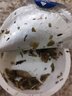 肴嬋升級(jí)款雪菜茸肴酵獸真空杯裝免洗免切老壇發(fā)酵必備百搭家常菜 324g*1盒(內(nèi)含3杯) 曬單實(shí)拍圖