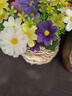 向日葵花束假花仿真花擺設(shè)客廳餐桌花盆栽綠植陽臺(tái)室內(nèi)裝飾品擺件 混色小雛菊+草編盆+蝴蝶 曬單實(shí)拍圖