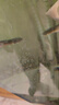 魚(yú)之眼魚(yú)缸納米鋁合金氣泡條氧氣條靜音增氧泵霧化氣泡石長(cháng)條氣條石雙排 【雙排】40cm鋁合金條 曬單實(shí)拍圖