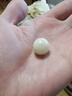戎夏高密白玉菩提根散珠圓珠原籽佛珠DIY手鏈手串半成品配飾搭配 單顆直徑約18MM 曬單實(shí)拍圖