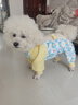 嬉皮狗（hipidog）狗狗防塵褲小型犬四腳衣服防水比熊泰迪遛狗神器戶(hù)外防尿防臟腿套 邦迪藍 XL 曬單實(shí)拍圖