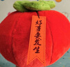 柿柿如意柿子抱枕毛絨玩具坐墊靠墊公仔玩偶家居裝飾 紅色柿子 40厘米 曬單實(shí)拍圖