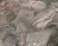 順豐包郵正宗新鮮牛腿肉不注水小黃牛肉冷凍牛腿肉紅燒牛腿肉 牛腿肉5斤裝 曬單實(shí)拍圖