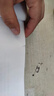 醫(yī)院感染預(yù)防與控制標(biāo)準(zhǔn)操作規(guī)程（第2版） 曬單實(shí)拍圖