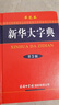 新華大字典 第3版單色版 小學(xué)生多功能字典  2020年新版中小學(xué)生專用辭書工具書字典詞典小學(xué)生工具書 曬單實(shí)拍圖