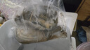 道樓鮮閣 象拔蚌（水蚌）鮮活海產(chǎn)品貝殼類大象鼻象拔蚌多省鮮活發(fā)貨 2只鮮凍發(fā)貨 1000g 曬單實拍圖