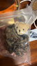AJIDOU阿吉豆發(fā)圈女可愛小熊頭繩俏皮飾品女神配飾馬尾大腸圈韓系頭圈 棕色 1個 曬單實拍圖