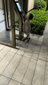 甜承智女童夏季超萌套裝ins韓版嬰幼兒短袖T恤格子背帶褲時(shí)髦洋氣兩件套 粉格子兩件套 90 曬單實(shí)拍圖