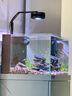 德克（D&A）小型方缸客廳立式生態(tài)魚(yú)缸一體缸自循環(huán)免換水辦公室底濾缸水族箱 庫里藍（筒燈款） 長(cháng)50cm寬50cm高120cm 曬單實(shí)拍圖