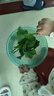 原起點(diǎn)意大利生菜種籽大全菜籽種植四季水培蔬菜種子孑秋冬羅馬奶油香菜 【精選良種】紫葉生菜3g*1袋 2g原裝 曬單實(shí)拍圖