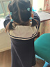 巴拉巴拉童裝女童連衣裙2024秋裝學院風小童寶寶翻領(lǐng)兒童裙子208324111008 曬單實拍圖