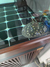 RSRDDY魟魚(yú)皇冠黑白活體缸魚(yú)珍珠黑金白子黑帝熱帶魚(yú)龍魚(yú)配魚(yú)底層觀(guān)賞魚(yú) 極品黑金魟魚(yú)12-14cm 1條【公母自選】 曬單實(shí)拍圖