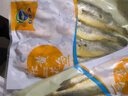 當(dāng)天海捕新鮮小黃花魚新鮮黃花魚燒烤生鮮黃魚深海小黃魚活魚速凍 一斤8-10條【1000克】 曬單實(shí)拍圖