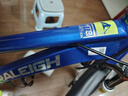 RALEIGH蘭令兒童自行車(chē)山地車(chē)適合6-14-10-12歲輕便女孩兒男孩大童小學(xué)生 蘭橘色 22英寸 (建議135-155cm) 曬單實(shí)拍圖