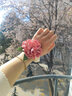 紅允玫瑰花大腸發(fā)圈女2025新款氣質(zhì)春夏高級(jí)感發(fā)繩頭花高彈力頭繩發(fā)飾 玫瑰花大腸發(fā)圈 F165 曬單實(shí)拍圖