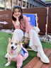 FSHE韓版 炸街粉色小西裝外套女雙排扣寬松休閑chic西服春秋季新款 粉色[優(yōu)質(zhì)版] S _建議80-100 曬單實(shí)拍圖