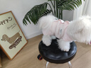 嬉皮狗（hipidog）春夏季狗狗中小型犬簡約時尚布標(biāo)寶包肚衣貓咪四腳空調(diào)服寵物衣服 奧麗粉 S S（建議體重3-5斤） 曬單實拍圖