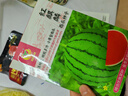 鳳鳴雅世早熟大棚四季種籽薄皮禮品西瓜種子粉紅瓤紅麒麟西瓜種子50粒 曬單實拍圖