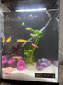 異景園小米二代魚(yú)缸造景裝飾擺件溪流缸南美風(fēng)卡通珊瑚造景石全套 套景A07 無(wú)規格 曬單實(shí)拍圖