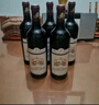 拉圖嘉利酒莊（ChateauLaTourCarnet）進(jìn)口紅酒 2019 干紅葡萄酒 正牌 750ml 送禮聚會 曬單實拍圖