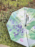 知傘全自動(dòng)晴雨兩用折疊傘防紫外線(xiàn)遮陽(yáng)小巧便攜防曬太陽(yáng)傘小巧高級感 五折8k春日蝴蝶-銀膠 超輕迷你 曬單實(shí)拍圖