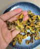 北海印象【北海館】精選大號(hào)淡菜干海虹肉500g貽貝大青口貝淡干淡曬水產(chǎn) 淡菜干250克 曬單實(shí)拍圖
