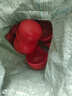 喂雞的自動飲水器雞鴨鵝家禽自動喂水器養(yǎng)殖家用加厚鴨鵝喂雞自動 養(yǎng)雞喂水器丨活動還剩00:18秒 水滿自停丨加厚款【20個】韌性高+易安裝 曬單實拍圖