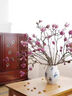 玉蘭花水培水養(yǎng)綠植花卉遇水開(kāi)花樹(shù)苗盆栽帶花苞干枝耐寒鮮切白紫 【賞到過(guò)年】鮮切紫玉蘭40-50cm4枝+送掛件+ 裸根不帶土 曬單實(shí)拍圖